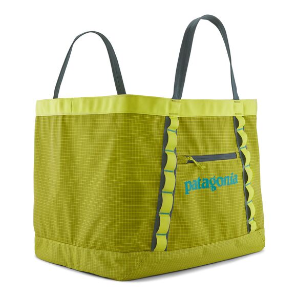 Patagonia tote sale