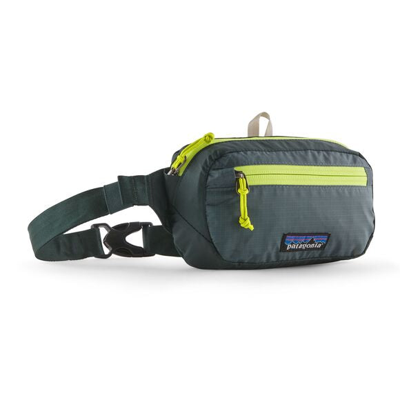 Patagonia fanny pack on sale amazon