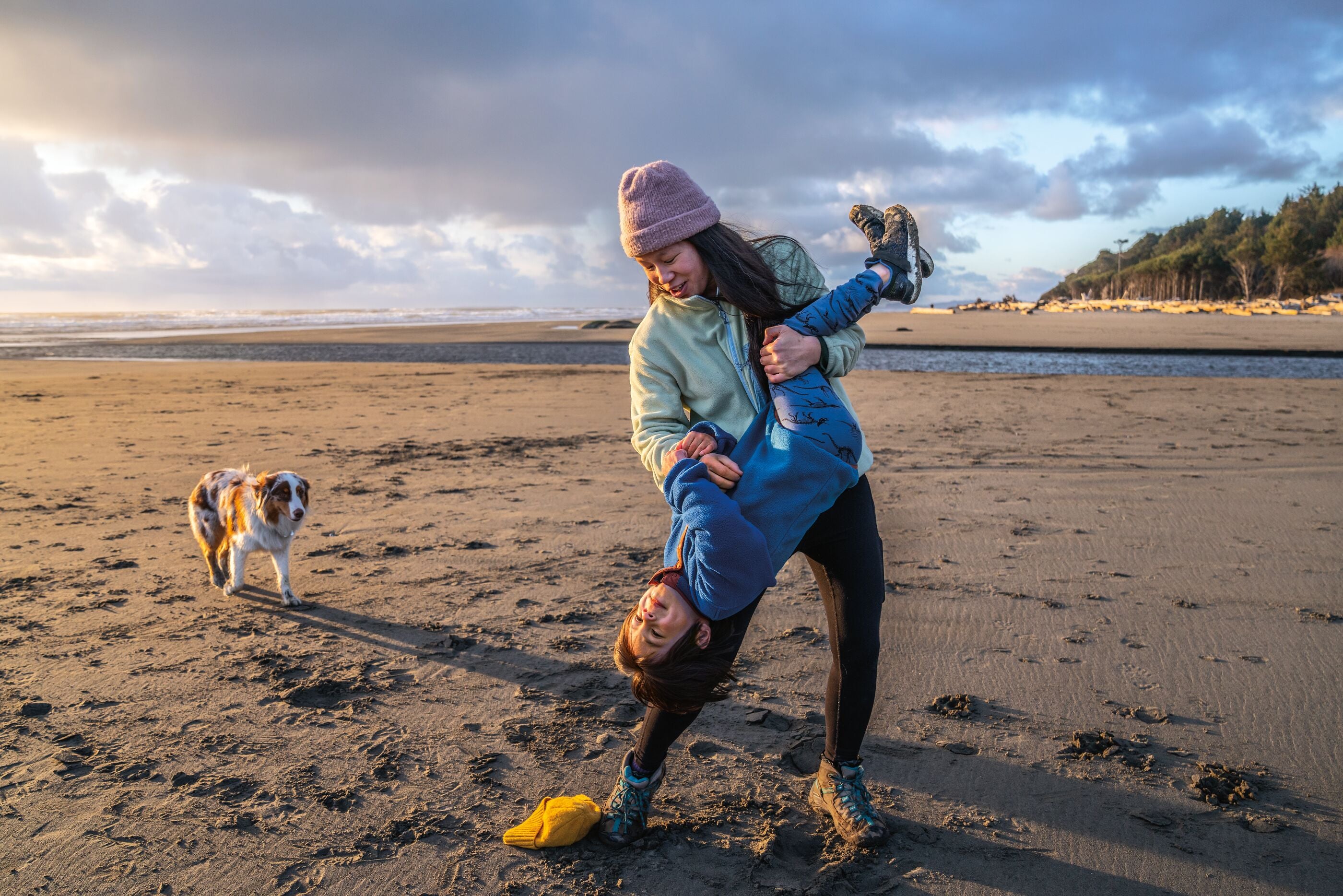 Dog store patagonia fleece