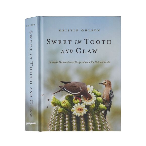 Sweet in Tooth and Claw BK850